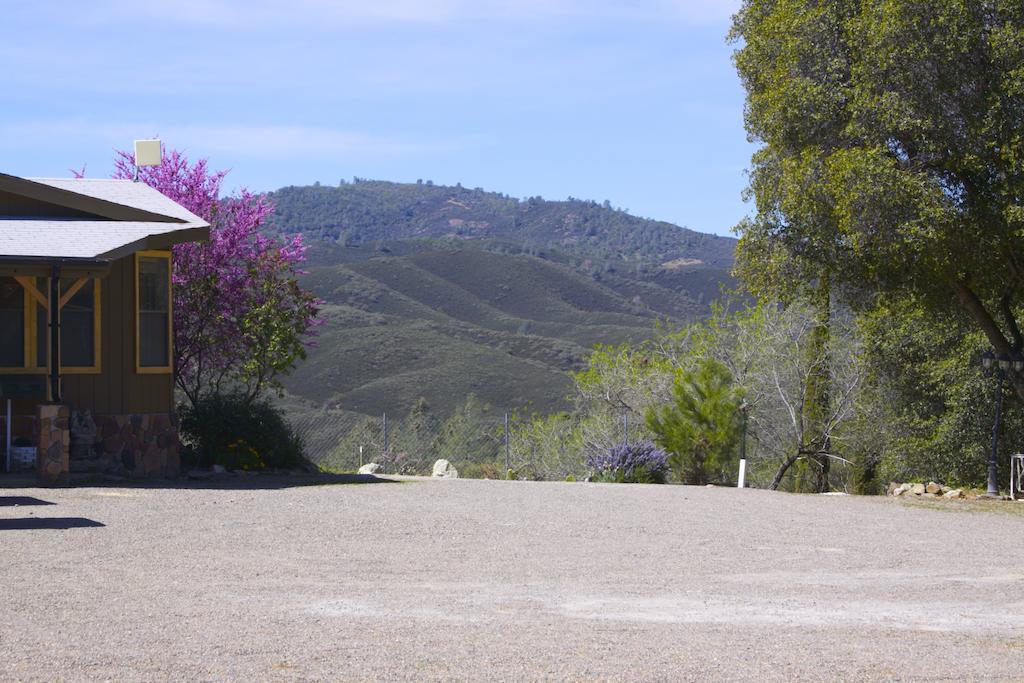 Yosemite Gold Country Lodge Coulterville Luaran gambar