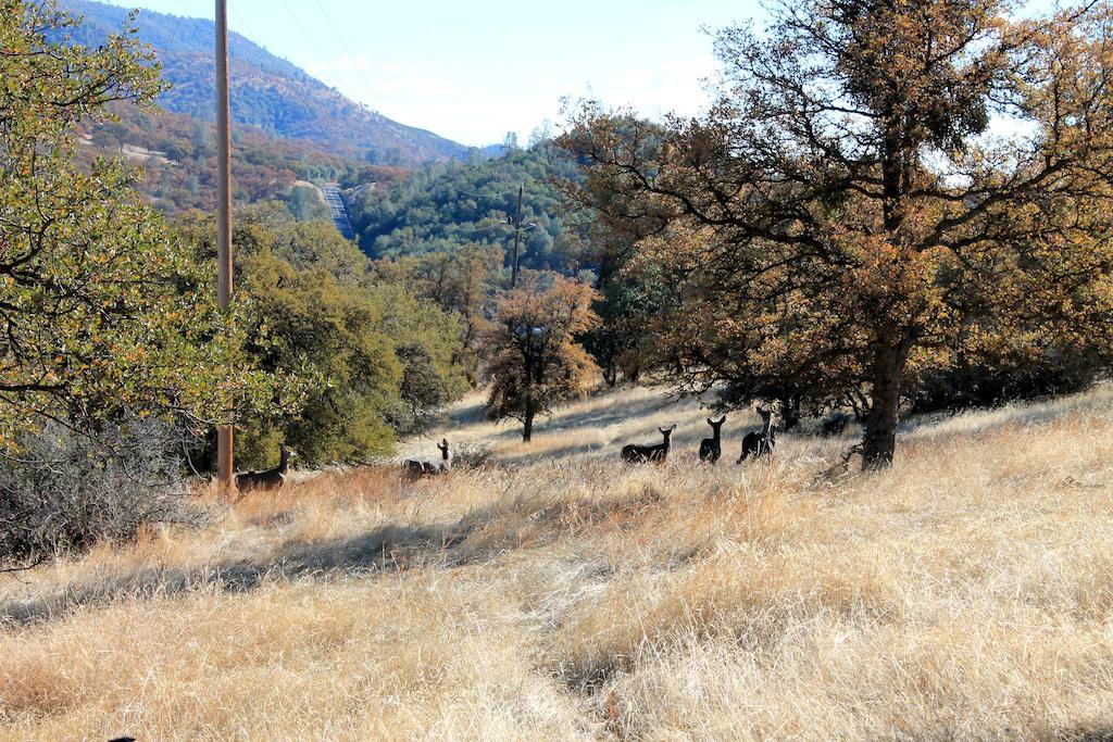 Yosemite Gold Country Lodge Coulterville Luaran gambar