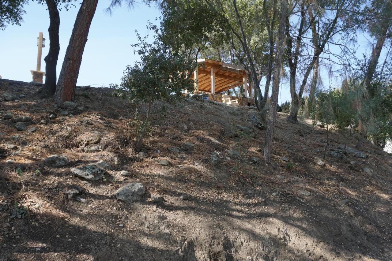 Yosemite Gold Country Lodge Coulterville Luaran gambar